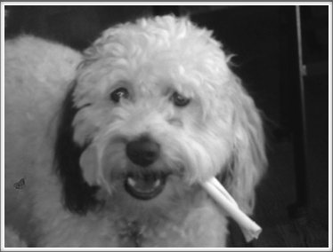 Winston R Winston R